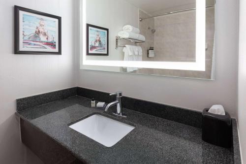 a bathroom with a sink and a mirror at Wyndham Garden Norfolk Downtown in Norfolk