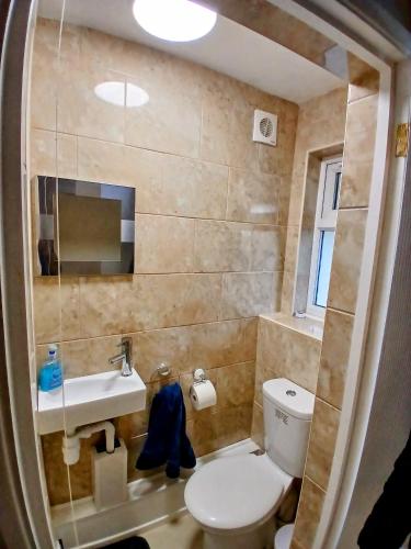 a bathroom with a toilet and a sink at Ipswich Town 3 Bed House in Copdock