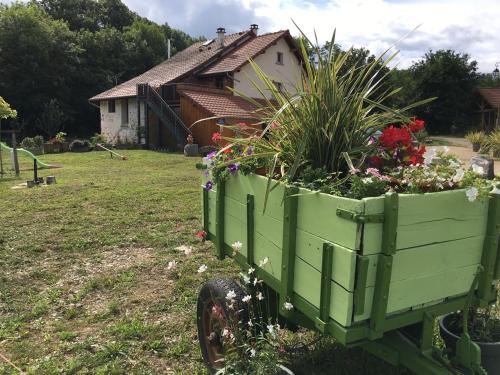 a green wagon filled with flowers and plants in a yard at Gîte des Buis de l'Ain in Groslée
