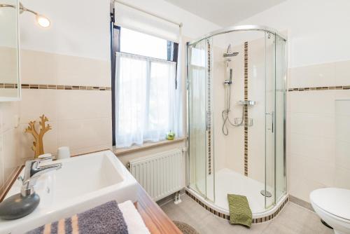 a bathroom with a shower and a sink and a toilet at Ferienhaus Villa Bourguet in Bad Liebenstein