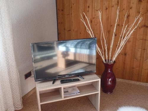 Televisyen dan/atau pusat hiburan di Blumenwiese