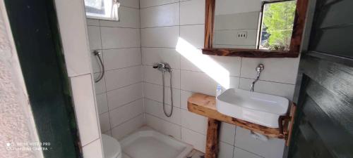 a small bathroom with a sink and a shower at Robinson Mili in Bogomolje