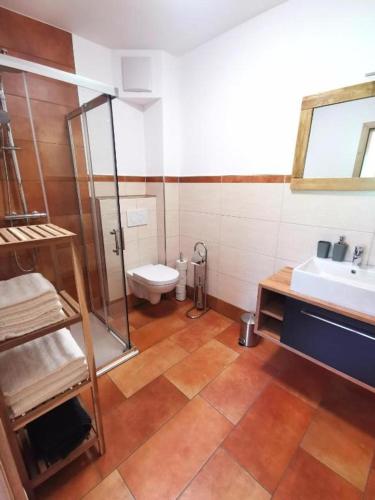 a bathroom with a shower and a toilet and a sink at Ferienwohnung Kramerhof in Ebbs