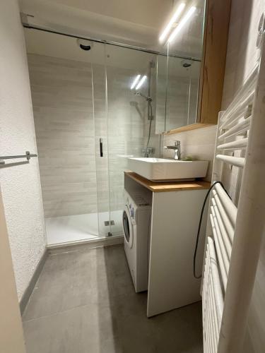 une salle de bain avec un lavabo et une machine à laver dans l'établissement 2P Chamonix Aiguille du Midi, à Chamonix-Mont-Blanc