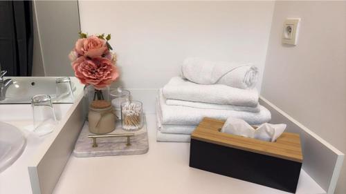 une salle de bain avec un lavabo, un miroir et des serviettes dans l'établissement Élixir, à Villeurbanne