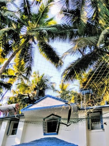 a view of a building with palm trees at Dom Pedros Haven Resort - Tranquil Retreat by the Sea in Utorda