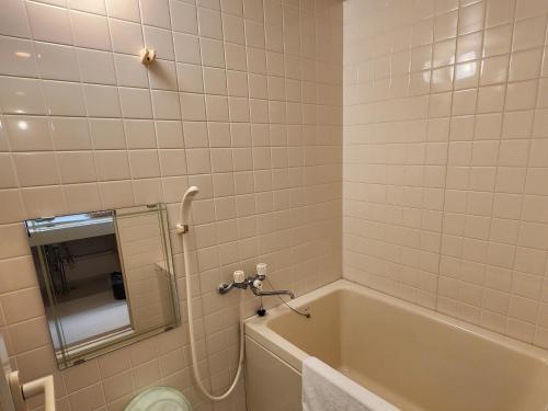a bathroom with a bath tub and a mirror at Hotel Cetus Royal in Higashiizu