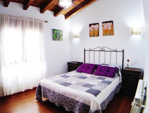 ein Schlafzimmer mit einem Bett mit lila Kissen in der Unterkunft Hotel el Rincon de Yaxu in Vidiago