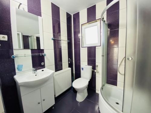 a bathroom with a toilet and a sink and a shower at Stay pe Republicii in Blaj
