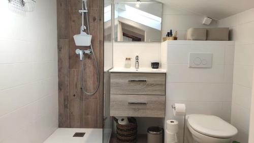 une salle de bain avec une douche avec des toilettes et un lavabo dans l'établissement Gubernatis centre ville, à Nice