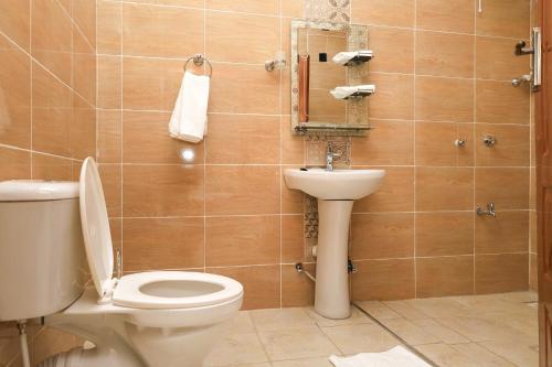 a bathroom with a toilet and a sink at Shanvilla Resort Ltd in Murangʼa