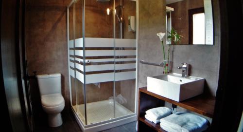 ein Bad mit einer Dusche, einem Waschbecken und einem WC in der Unterkunft Hotel el Rincon de Yaxu in Vidiago