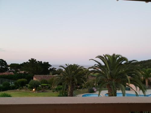 - une vue depuis le balcon d'un complexe avec des palmiers dans l'établissement Appartement Playa del Oro résidence avec grande piscine et vue mer, à Conca