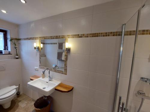 a bathroom with a toilet and a sink and a shower at Wagnerhof in Pichl bei Aussee