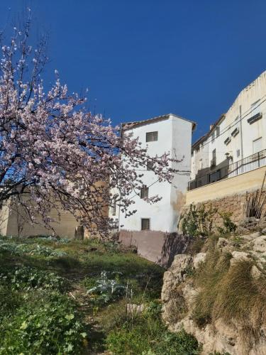 a flowering tree in front of a white building at Candela de la Murtera in Chelva