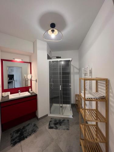 une salle de bain avec une douche, un lavabo et un miroir dans l'établissement Ô Palomaya, à Montpellier