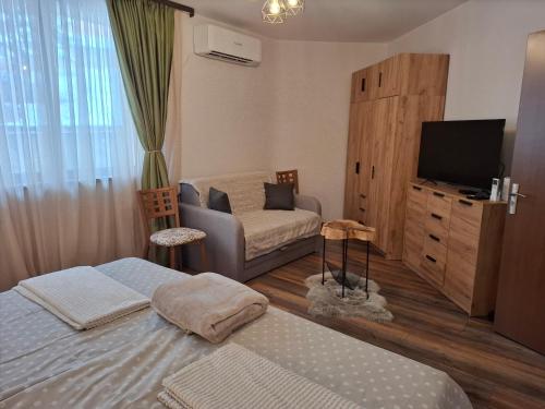 a room with two beds and a couch and a television at Двуспален апартамент Милена в хотел Росица,Пампорово in Pamporovo