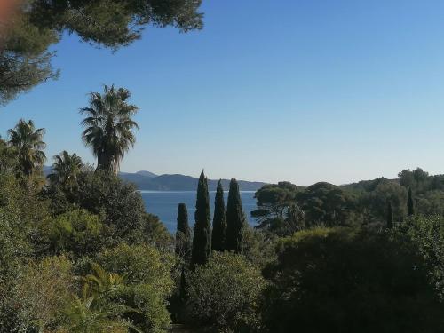 Φυσικό τοπίο κοντά σε αυτό το bed & breakfast