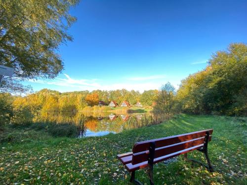 a park bench sitting in the grass near a lake at Finnhäuser am Vogelpark - Haus Luise in Marlow