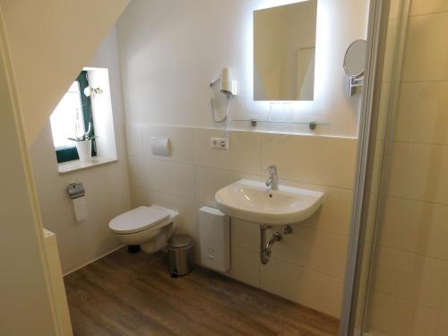 a bathroom with a sink and a toilet and a mirror at Rektorscheune in Bad Sülze