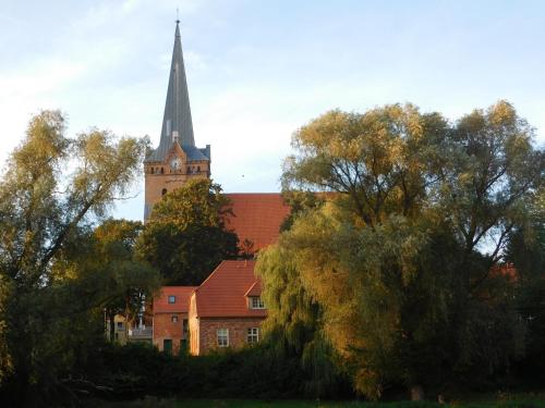 a church with a steeple and a building with trees at Rektorscheune in Bad Sülze