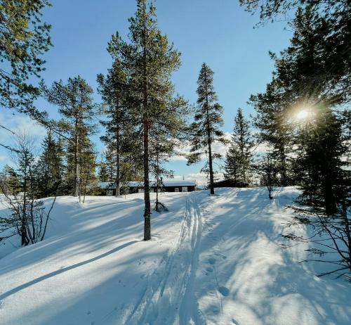 Το Modernized 60S Cabin With Views Of Blefjell τον χειμώνα