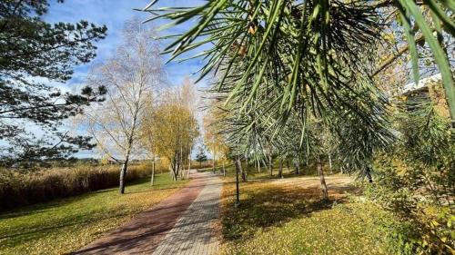 a dirt road in a park with trees on it at Gilužio Apartments in Vilnius