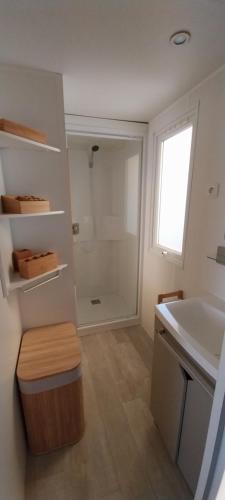 e bagno con lavandino, servizi igienici e doccia. di Un toit sur le bassin les Embruns a Lège-Cap-Ferret
