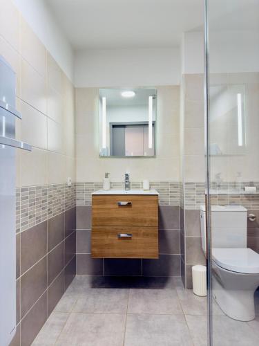 une salle de bain avec un lavabo, des toilettes et un miroir dans l'établissement Rare grand appartement standing terrasse et jardin - Porticcio proche mer, à Porticcio