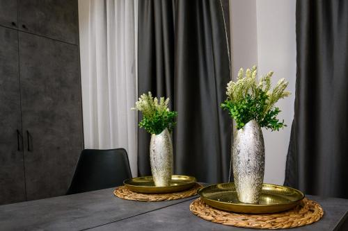 Fotografie z fotogalerie ubytování AXIOM Apartments v destinaci Skopje