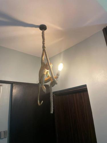 a monkey hanging from the ceiling of a room at 2 BEDROOM HOME AWAY FROM HOME WITH - 1 BEDROOM Option in Sagisa