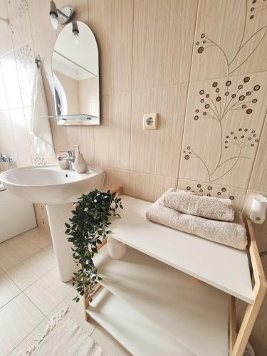 une salle de bain avec un lavabo, des toilettes et un miroir dans l'établissement Stylish Penthouse with City View & Private Parking, à Timişoara