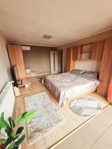 - une chambre avec un grand lit et des placards en bois dans l'établissement Stylish Penthouse with City View & Private Parking, à Timişoara