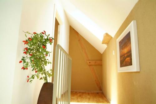 a stairway with a potted plant and a stair case at Göttin des Glücks - Auszeit am Haff in Vogelsang