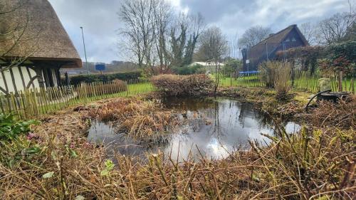 a pond in the middle of a yard with a house at La Charreterie in Auzouville-sur-Saâne