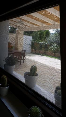 a window with a view of a patio with cactus at Villa Mest Pepp in Monopoli