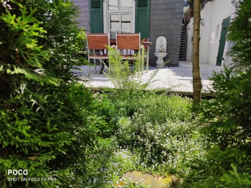 Zahrada ubytování FEWO Altstadt Hückeswagen"das historische"