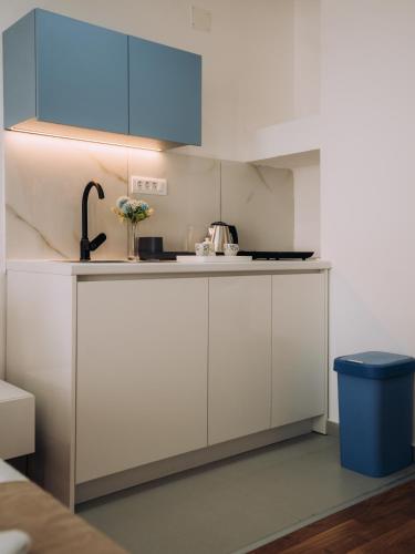 Η κουζίνα ή μικρή κουζίνα στο Vil Apartments