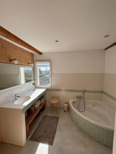 een badkamer met een bad en een wastafel en een ligbad bij Mas de charme provencal in Cavaillon