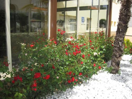 Κήπος έξω από το Hotel Sierra Luz