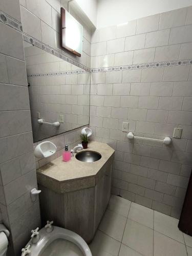 a bathroom with a sink and a toilet at Rincón Verde 1 in San Miguel de Tucumán