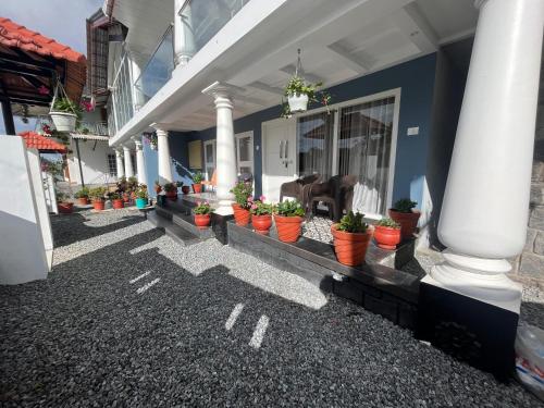 a row of potted plants on the side of a house at Fortune Retreats in Ooty