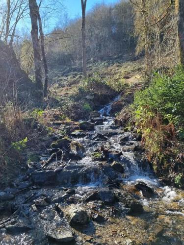 a stream of water on a field with trees at Au Vieux Lavoir in Alle