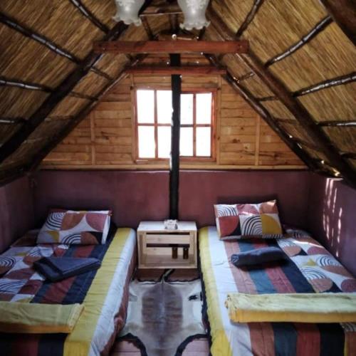 a room with two beds in a log cabin at Shik Shack Backpackers in Guernsey Nature Reserve