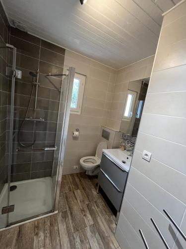 une salle de bain avec douche et toilettes dans l'établissement Maison paisible à 100m de la Mer, à Bretignolles-sur-Mer