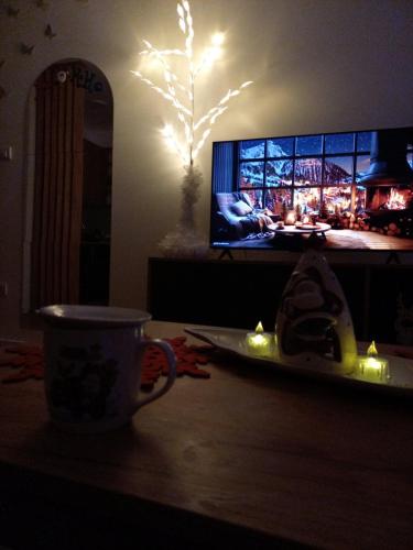 TV a/nebo společenská místnost v ubytování Luxe Apartman Sokobanja
