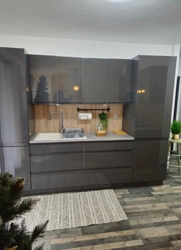 une cuisine avec un évier et un comptoir dans l'établissement La Vérénidrey, chalet 3 chambres, à Boulzicourt