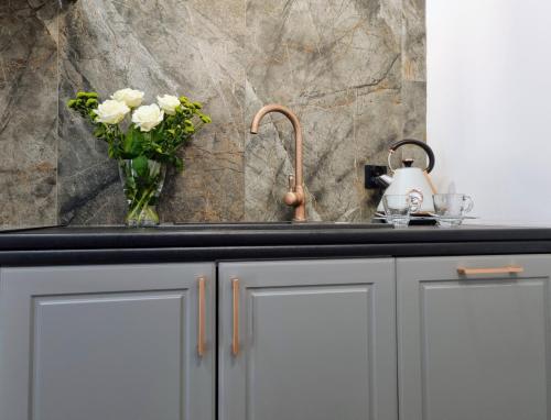 Η κουζίνα ή μικρή κουζίνα στο Biały Kruk Apartamenty vis-a-vis Jasnej Góry 2b