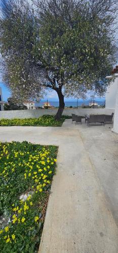 Maria's place Agkistri