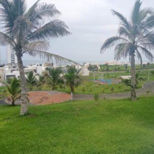two palm trees in a park with green grass at departamento en riviera veracruzana in Conchal
